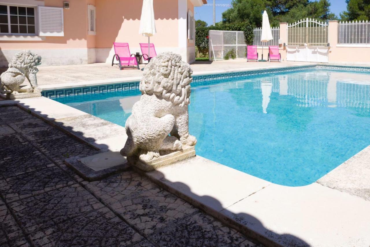 Villa Flamingo *