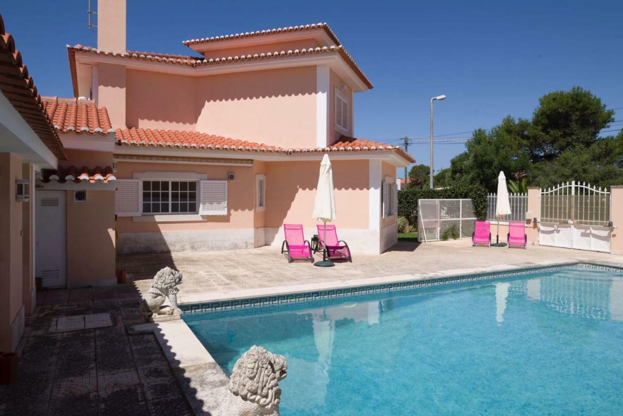 Flamingo Villa